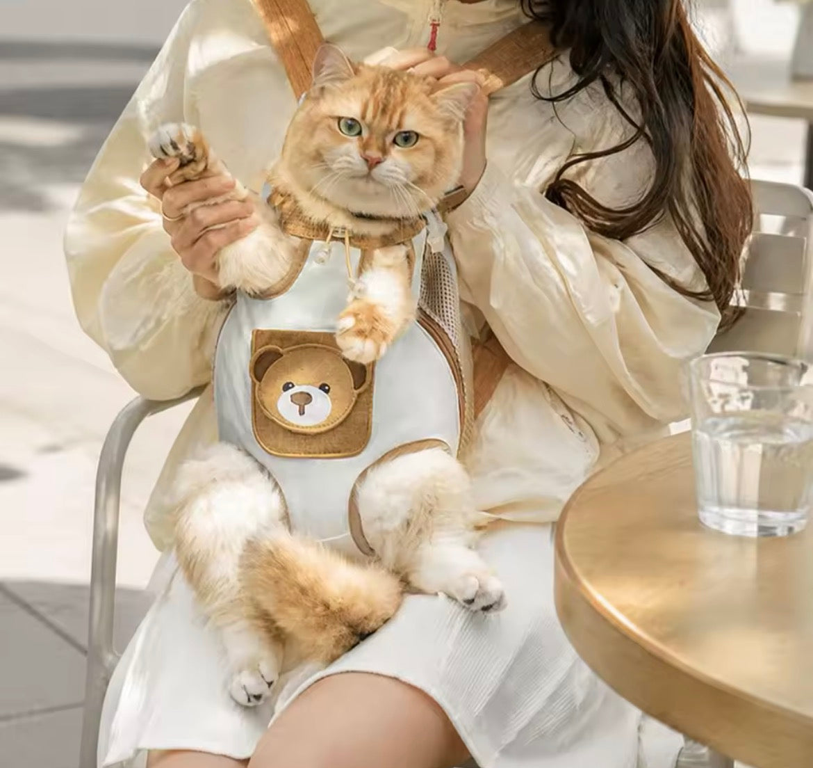 Cat&Dog - plecak dla psa i kota