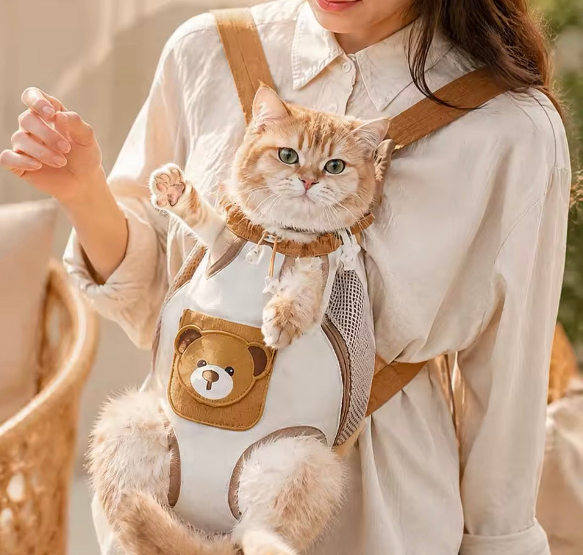 Cat&Dog - plecak dla psa i kota